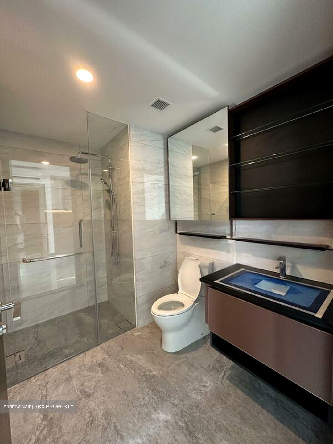 Normanton Park (D5), Apartment #459252491